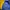 Nike Vintage Sportswear Windbreaker Pria blue yellow photo 6