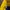 Nike Vintage Sportswear Windbreaker Pria blue yellow photo 5