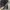 Charles Jourdan Casual Blazer Pria black gray photo 7