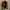 Starter Vintage Sportswear Bomber jacket Pria green orange photo 1