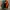 Starter Vintage Sportswear Bomber jacket Pria green orange photo 2