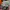 Starter Vintage Sportswear Bomber jacket Pria green orange photo 8