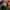Starter Vintage Sportswear Bomber jacket Pria green orange photo 5