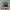 Vintage Hat Pria green photo 2