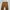 Levi's Vintage Indie Jeans Pria brown photo 6