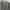 Gianni Valentino Casual Blazer Wanita gray photo 7