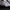 VANS Minimalist Casual Sneakers Pria white black photo 3