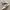 Adidas Casual Sneakers Wanita white photo 1