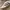 Adidas Casual Sneakers Wanita white photo 2