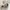Adidas Casual Sneakers Wanita white photo 7