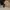 Jims Honey Casual Shoulder bag Wanita tan photo 1
