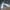 Nike Streetwear Skater Sneakers Pria white green photo 6
