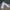 Nike Streetwear Sportswear Sneakers Pria white cream photo 6