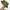 Vintage Casual Hat Pria green khaki photo 1