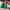 Nike Minimalist Pria green photo 4