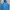 Abercrombie & Fitch Streetwear Windbreaker Pria Blue