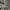 Biker Bomber jacket Pria gray photo 2