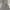 Stradivarius Casual Midi dress Wanita gray photo 1