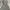 Stradivarius Casual Midi Dress Wanita Gray