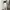 H&M Sportswear Muslim High Waisted Jeans Wanita White