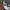 Japanese brand Vintage Grunge Pria white black photo 3