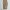 Uniqlo Streetwear Y2K Sweatpants & Joggers Pria Tan
