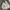 Uniqlo Streetwear Y2K Sweatpants & Joggers Pria tan photo 4