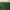 Polo Ralph Lauren Vintage Luxury Formal shirt Pria green photo 4