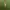 Polo Ralph Lauren Vintage Luxury Formal Shirt Pria Green