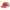 Nike Luxury Sportswear Hat Wanita orange photo 3