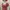 Coquette Prom dress Wanita red pink photo 4