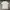 Adidas Streetwear T-shirt Pria White Gray