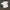 Kodak Vintage Y2K T-shirt Pria white yellow photo 3