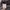National Geographic Luxury Hat Pria gray photo 2