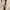 Fossil Luxury Casual Wanita brown photo 3