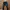 Balmain Biker Jeans Pria navy photo 7