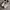 New Balance Minimalist Sneakers Pria white black photo 3