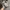 New Balance Minimalist Sneakers Pria white black photo 4