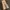 Vintage Y2K Dungaree Pria tan photo 3
