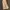 Vintage Y2K Dungaree Pria tan photo 1