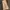 Vintage Y2K Dungaree Pria Tan