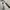 Sean John Luxury Hoody Pria white photo 4