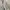 Sean John Luxury Hoody Pria white photo 3
