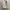Sean John Luxury Hoody Pria white photo 1