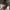Yohji Yamamoto Streetwear Luxury T-shirt Pria brown photo 5