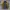Streetwear Biker Track Jacket Pria Black Yellow