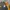 Streetwear Biker Track jacket Pria black yellow photo 4