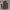 Streetwear Biker Track jacket Pria black yellow photo 8