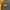 Streetwear Biker Track jacket Pria black yellow photo 3