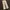 Wrangler Vintage Y2K Jeans Pria cream photo 1